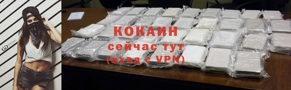 стаф Пересвет